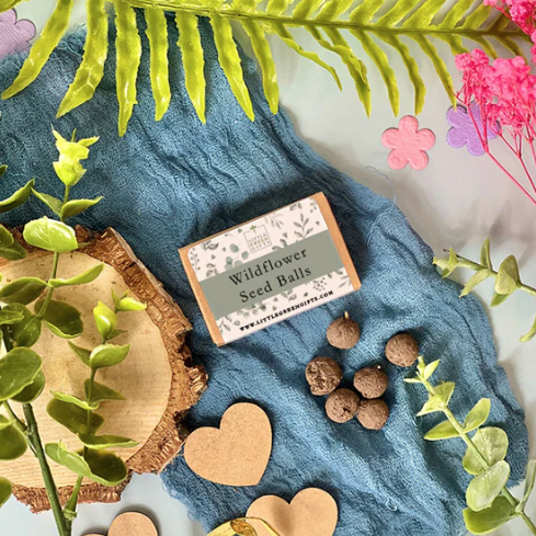 Little Green | Wildflower Seed Balls