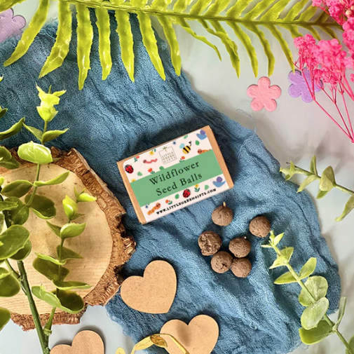 Little Green | Wildflower Seed Balls