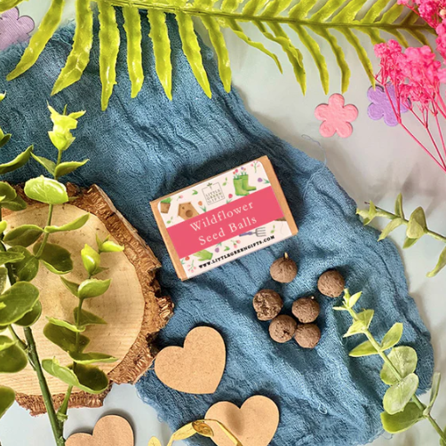 Little Green | Wildflower Seed Balls