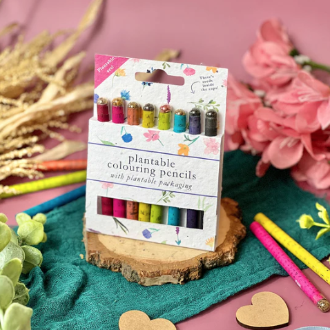 Little Green | Plantable Colouring Pencils | Summer Meadow