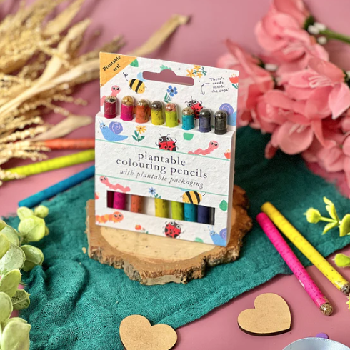 Little Green | Plantable Colouring Pencils | Bug Bonanza