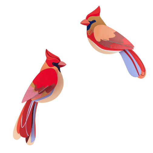 3D Wall Art | Cardinals
