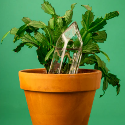 Kikkerland | Water From A Crystal