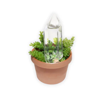 Kikkerland | Water From A Crystal