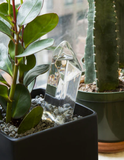 Kikkerland | Water From A Crystal