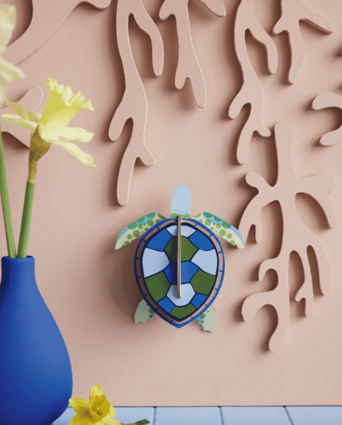 Studio Roof | Sea Turtle