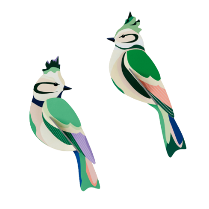 Studio Roof | Forest Crests