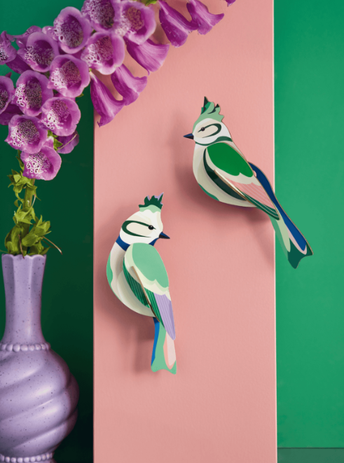 Studio Roof | Forest Crests