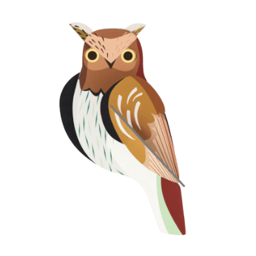 Studio Roof | Tawny Owl