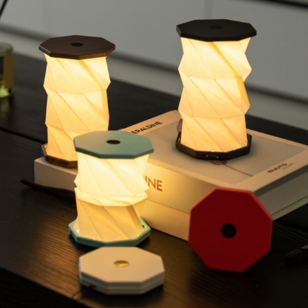 Gingko | Mini Twist Hexagon Light