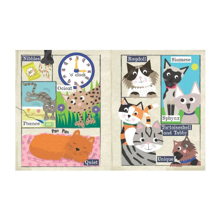 Crinkly Newspaper | A-Z of Cats