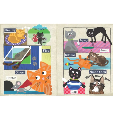 Crinkly Newspaper | A-Z of Cats