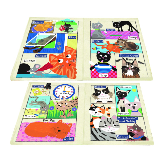 Crinkly Newspaper | A-Z of Cats