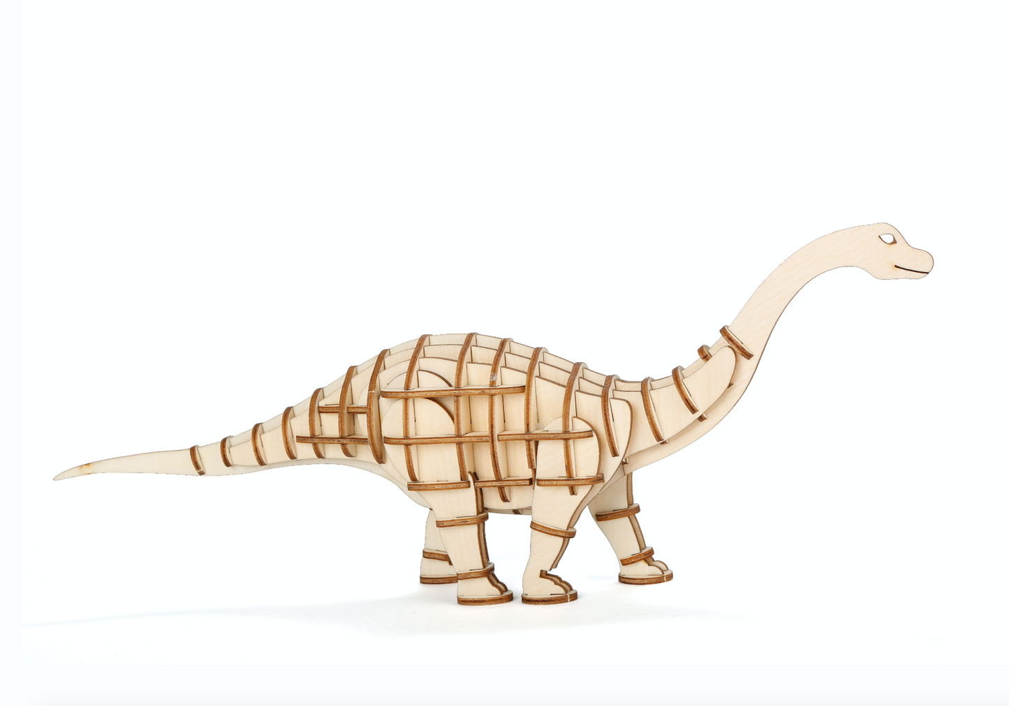 3D Wooden Puzzle | Apatosaurus