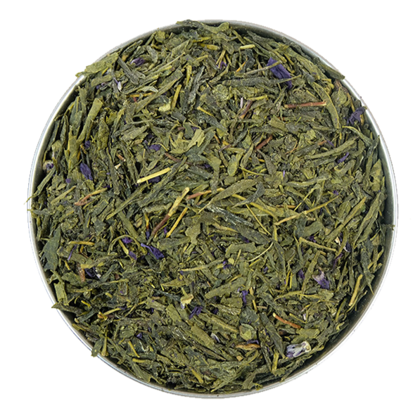 True Tea | Loose Leaf Green Tea | Kombucha Plum