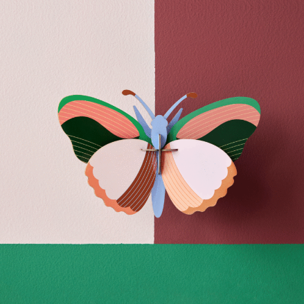 3D Wall Art | Sycamore butterfly