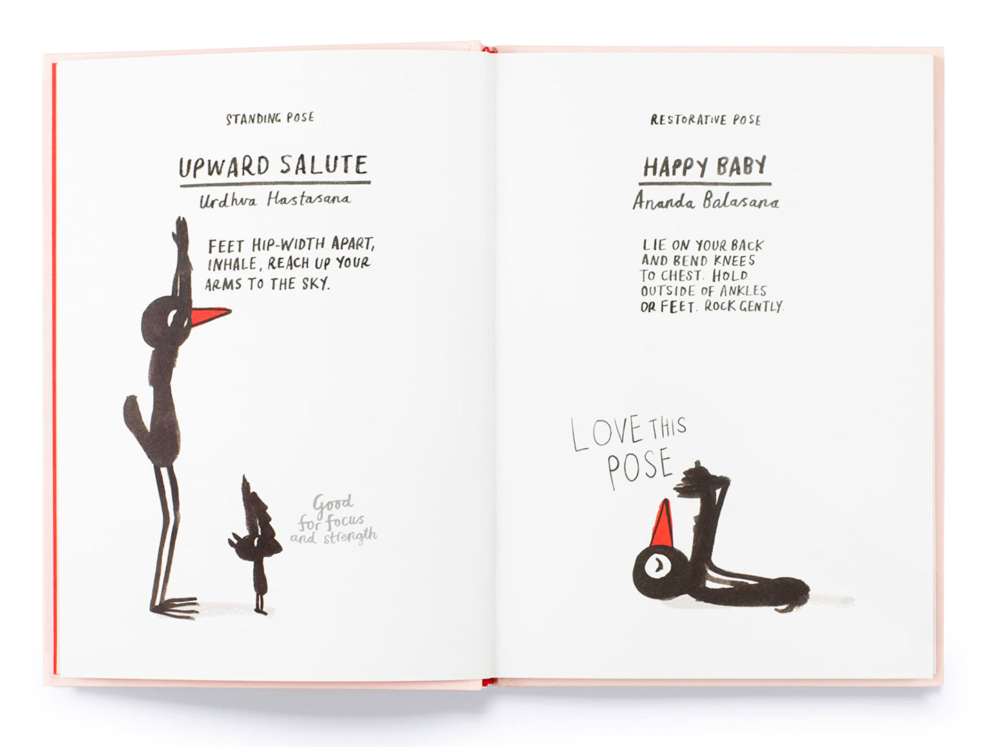 Book | Yoga for Stiff Birds