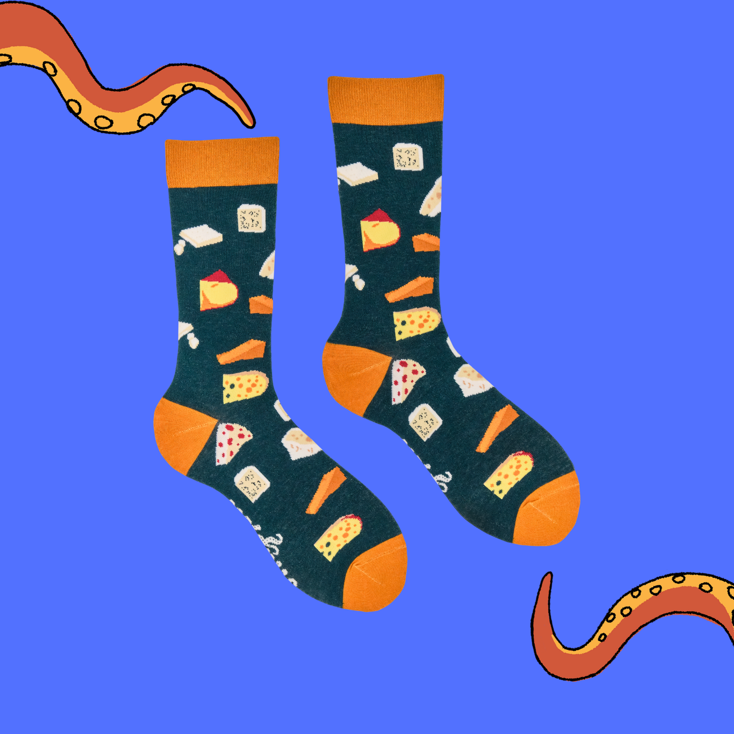 Socktopus | Cheesy Feet Socks | S UK 4-8
