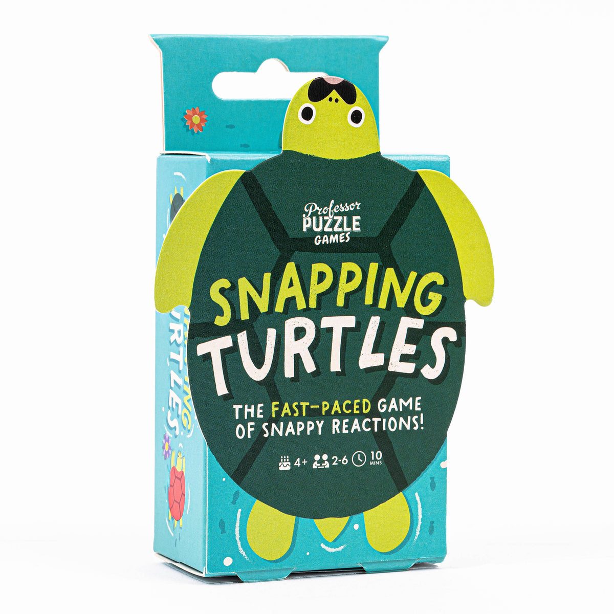 Professor Puzzle | Snapping Turtles