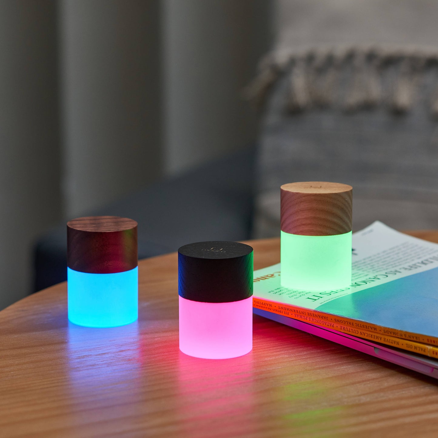 Gingko Design | Mini Lemelia Night Light | White Ash