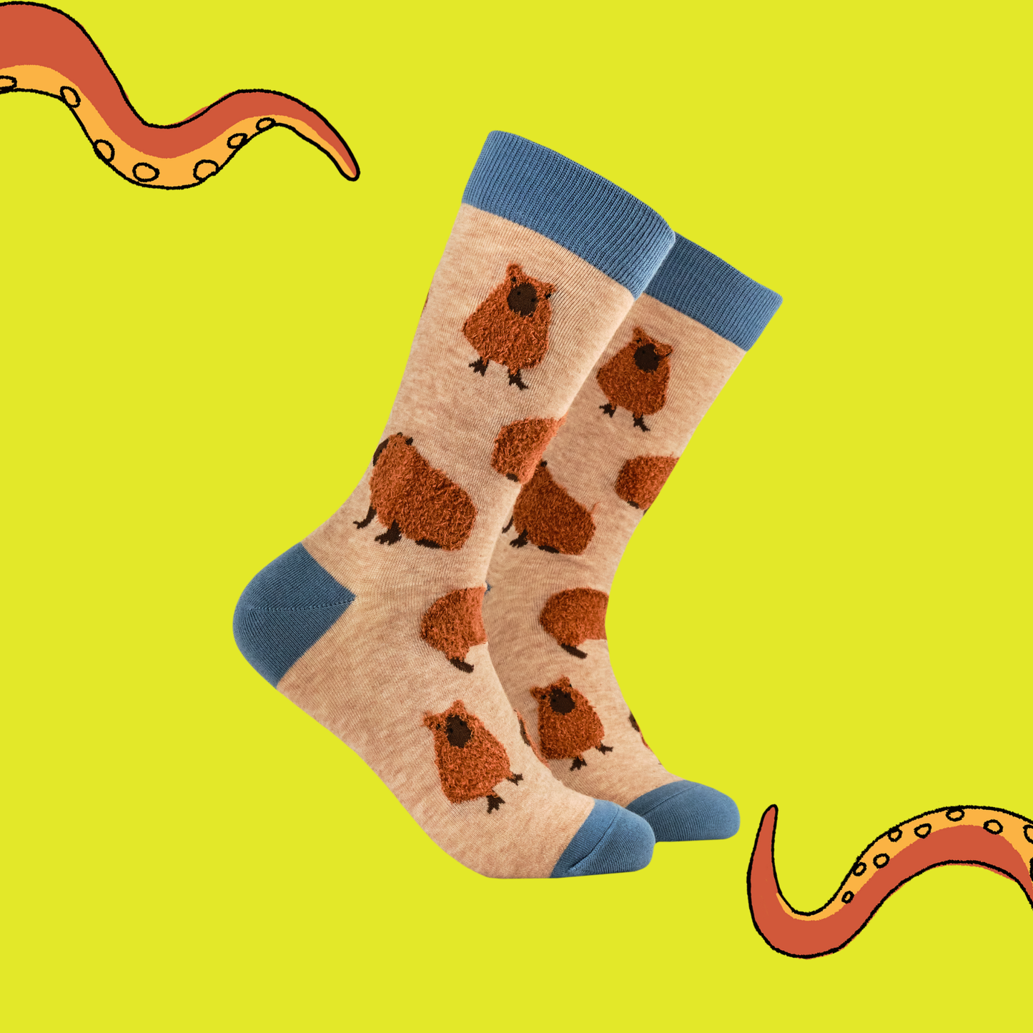 Socktopus | Womens Socks | Capybara