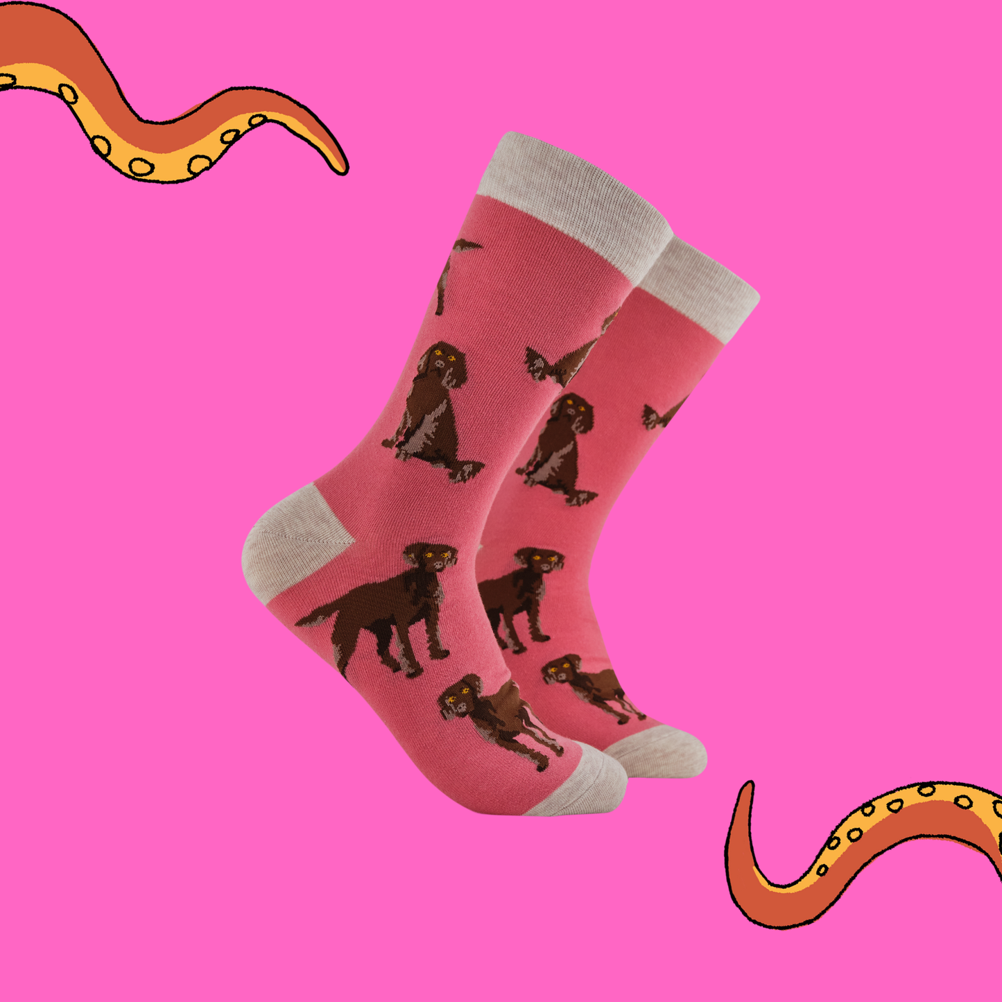 Socktopus | Span au Chocolat | Pink | S UK 4-8