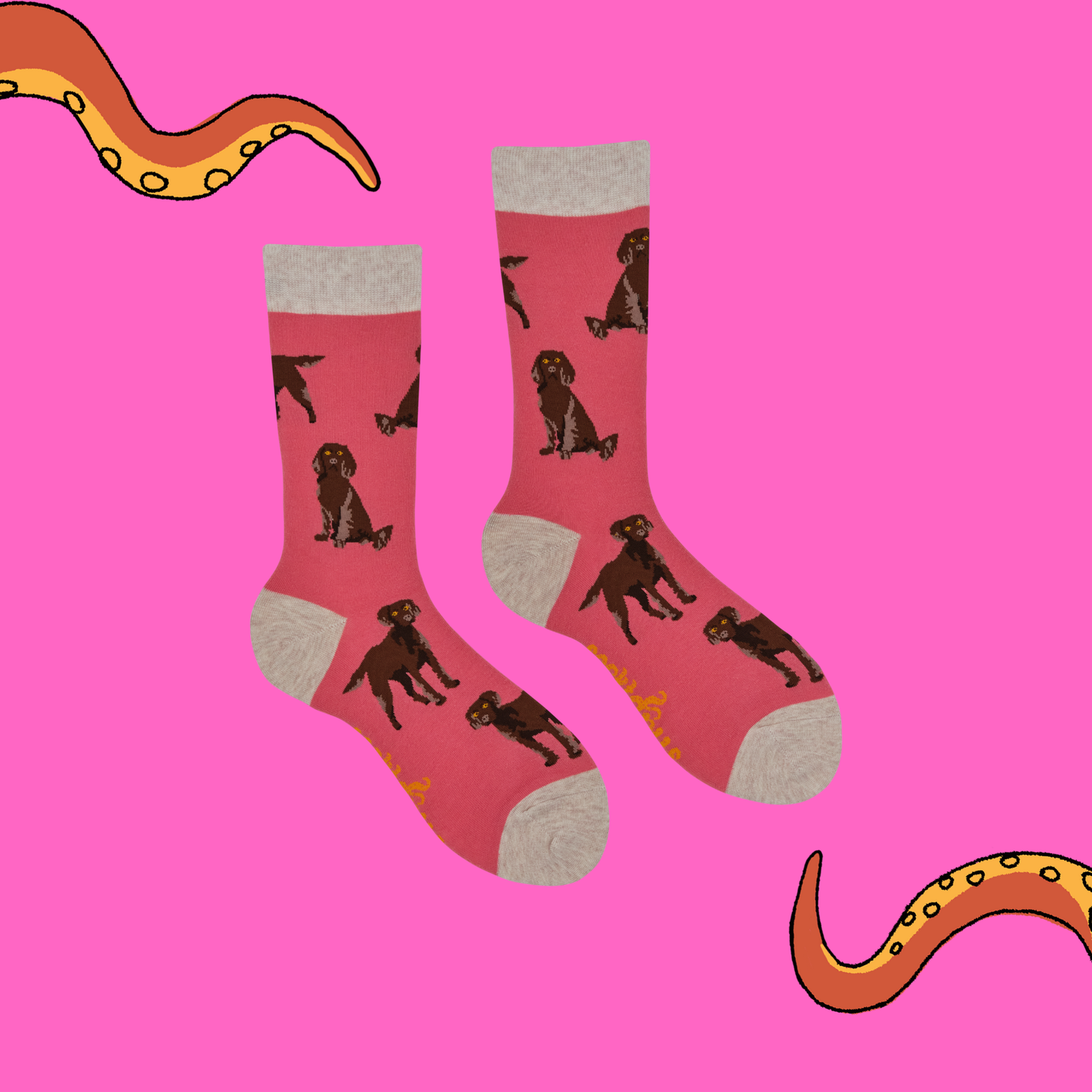 Socktopus | Span au Chocolat | Pink | S UK 4-8