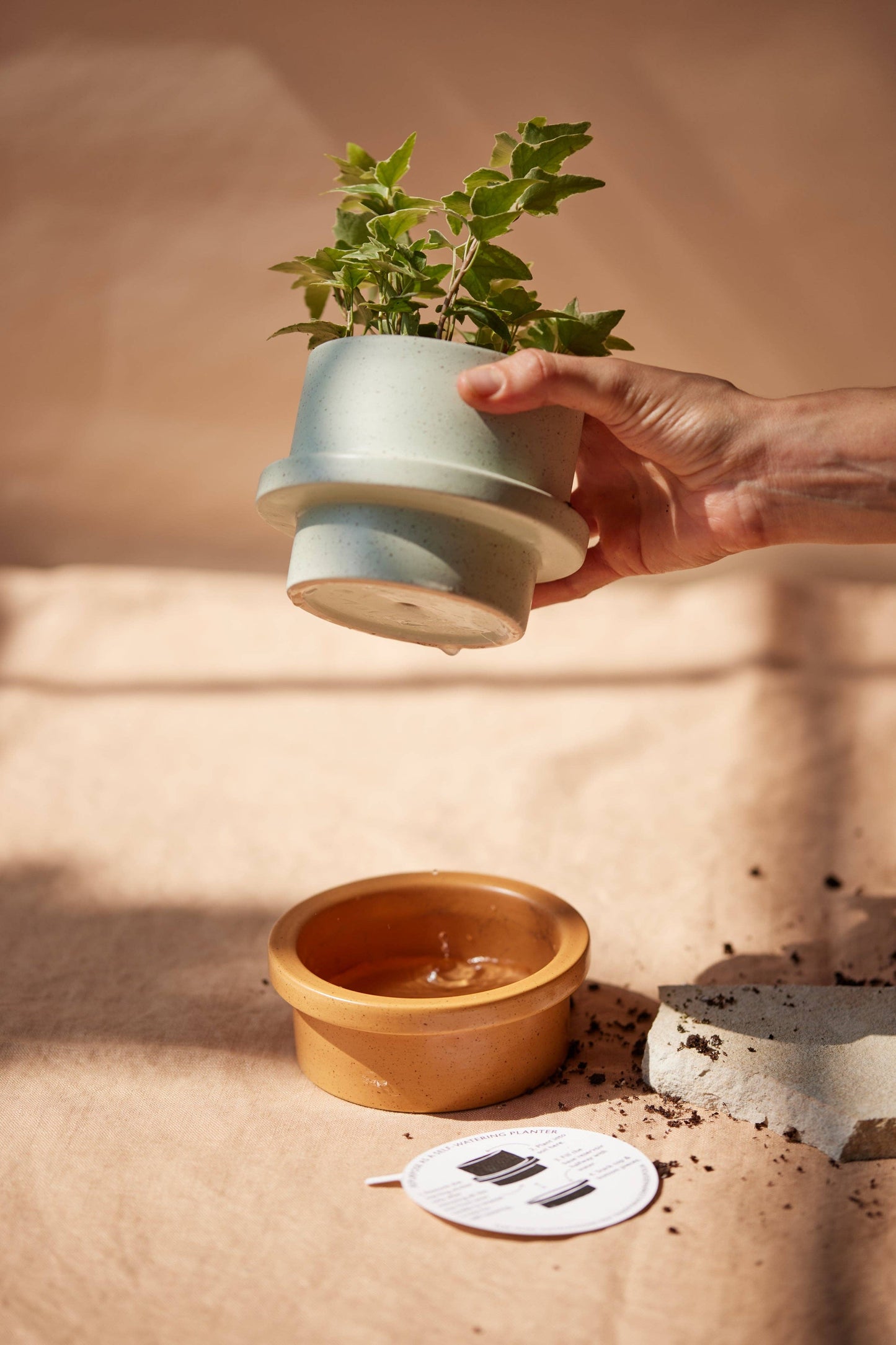 Paddywax | Folia Ceramic Candle