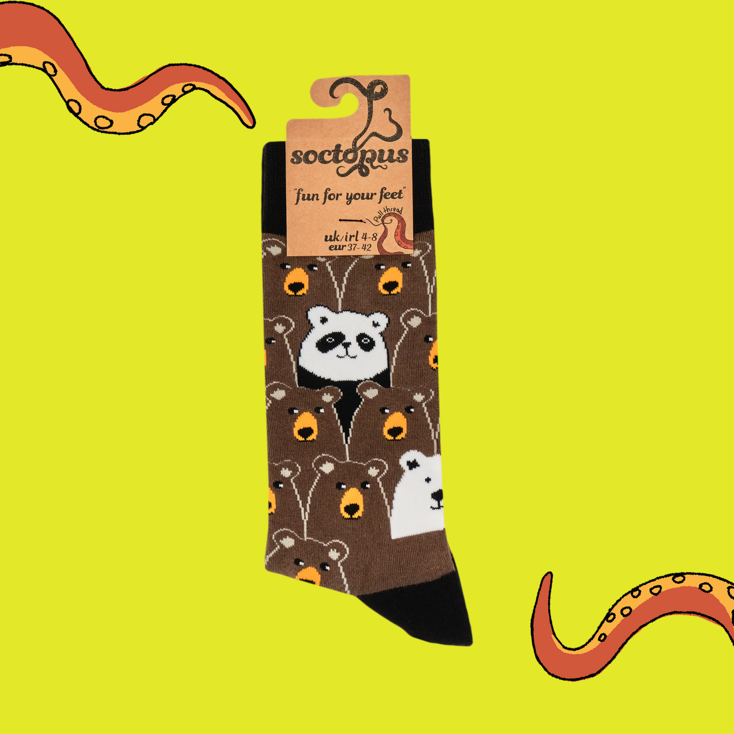 Socktopus | Womens Socks | Bear Hunt