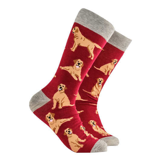 Socktopus | Labrador Retriever | Burgundy | L UK 9-12