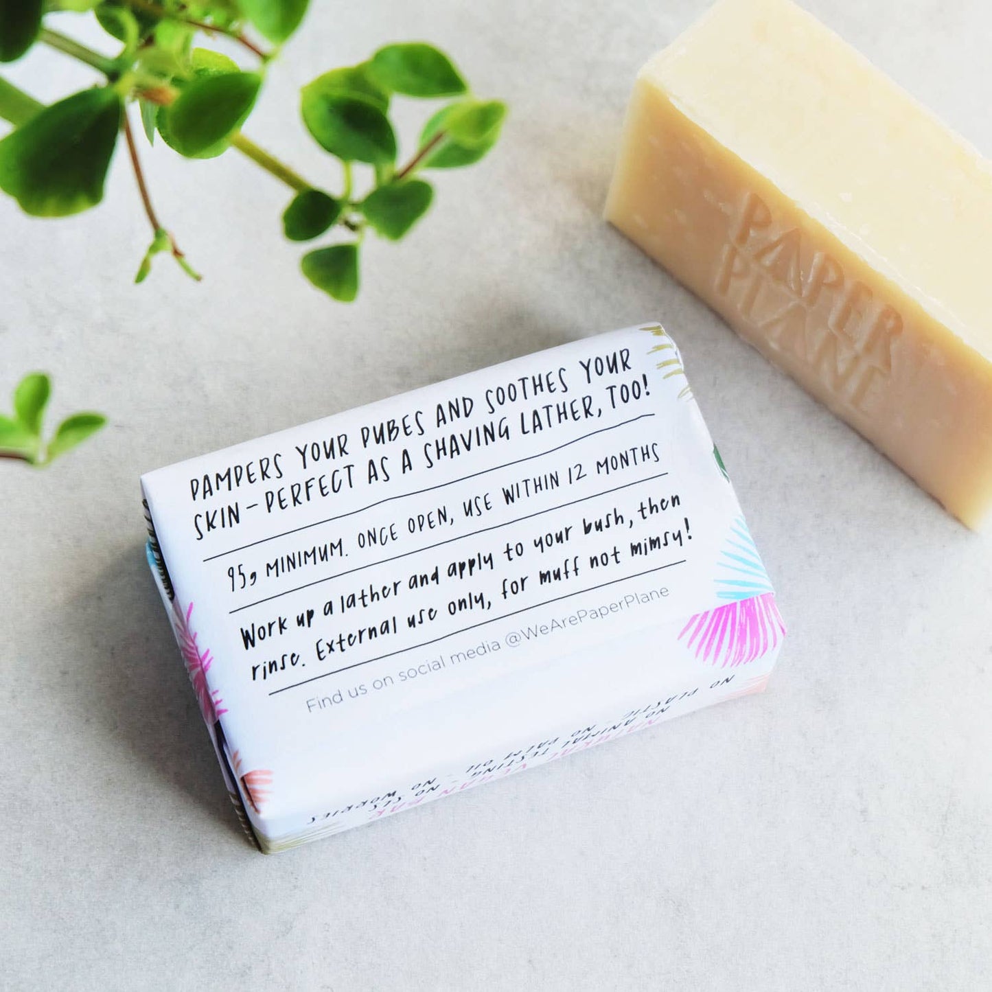 Paper Plane | Bush Shampoo Bar