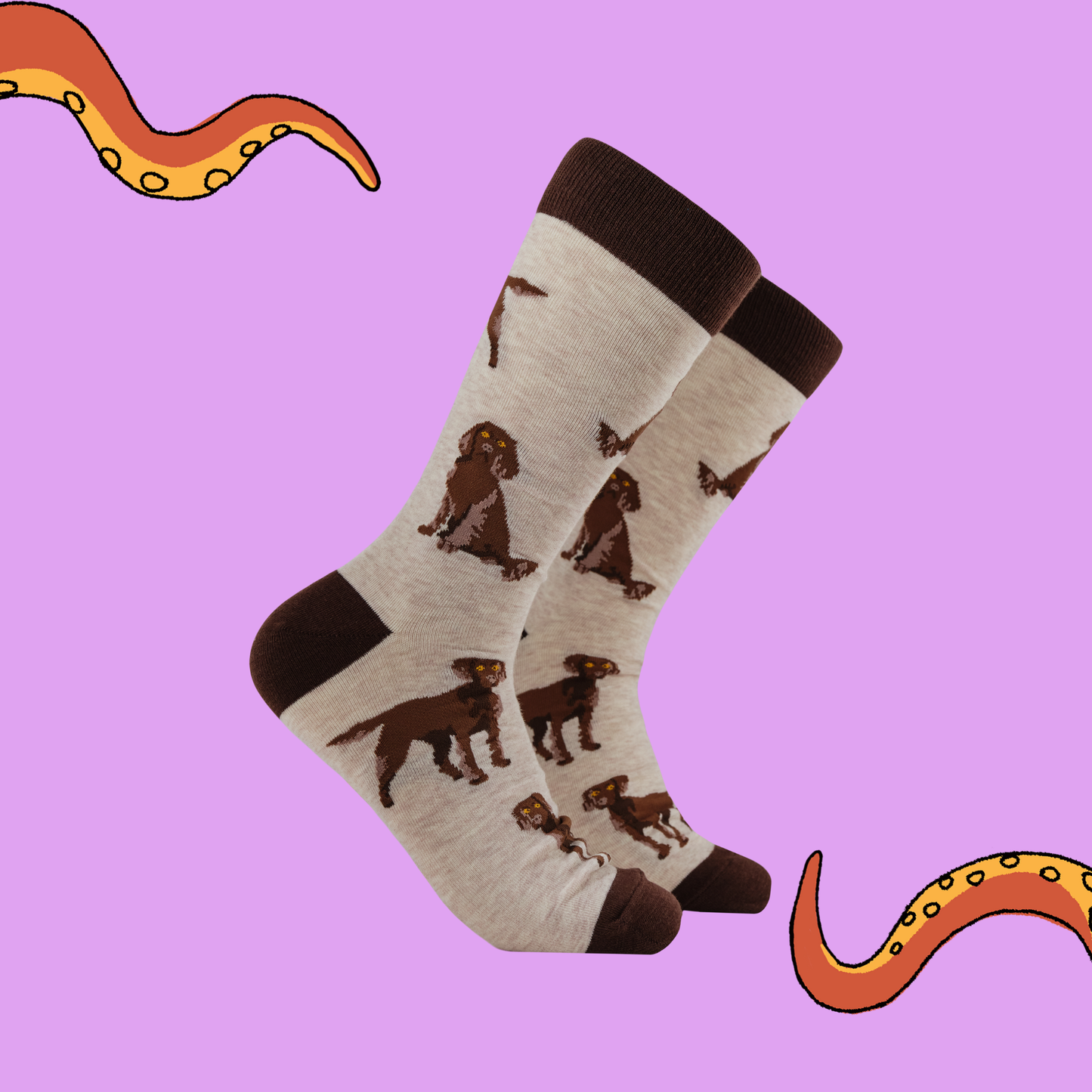Socktopus | Span au Chocolat | Ooatmeal | L UK 9-12