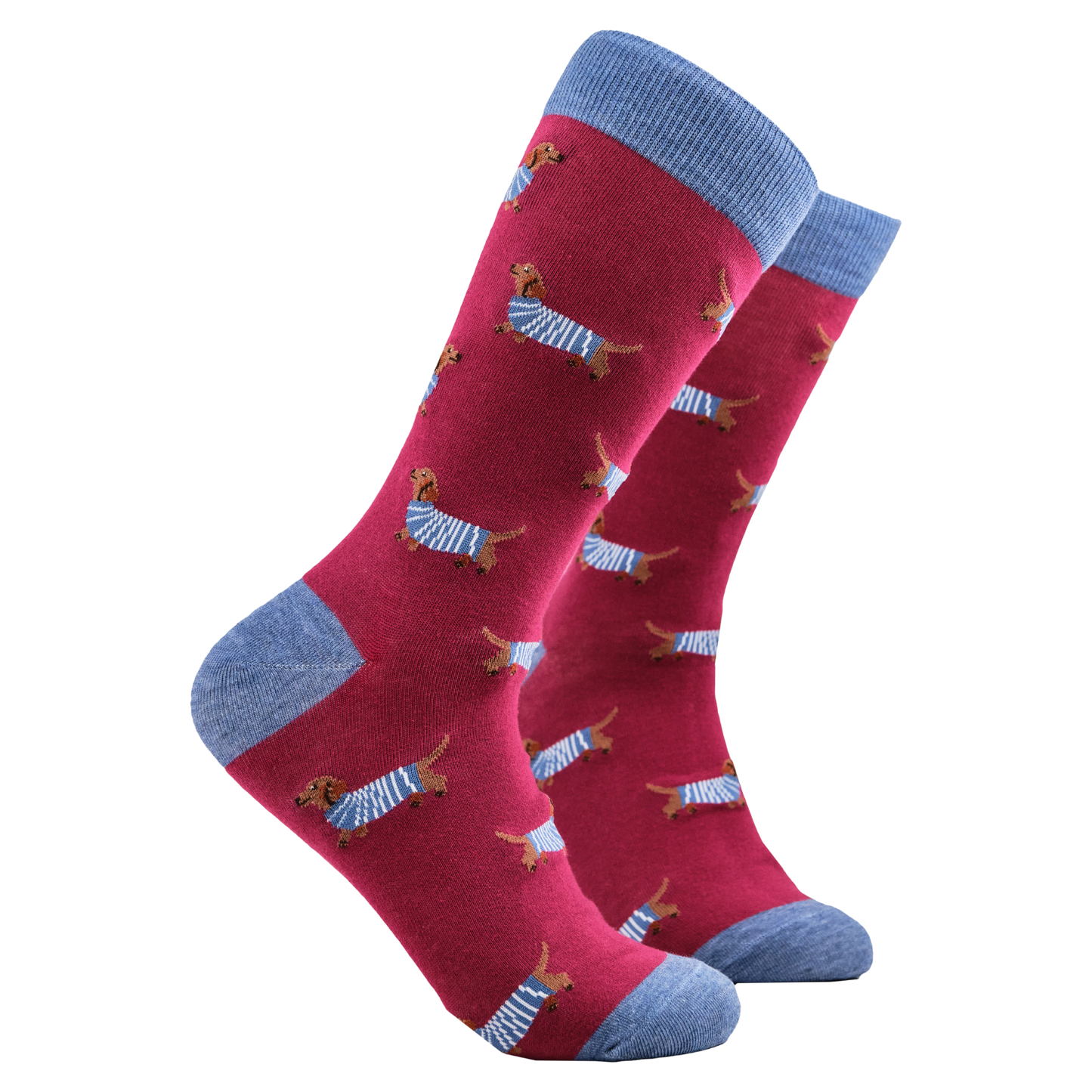 Socktopus | Sausage Dogs in Jumpers Fuchsia | S UK 4-8