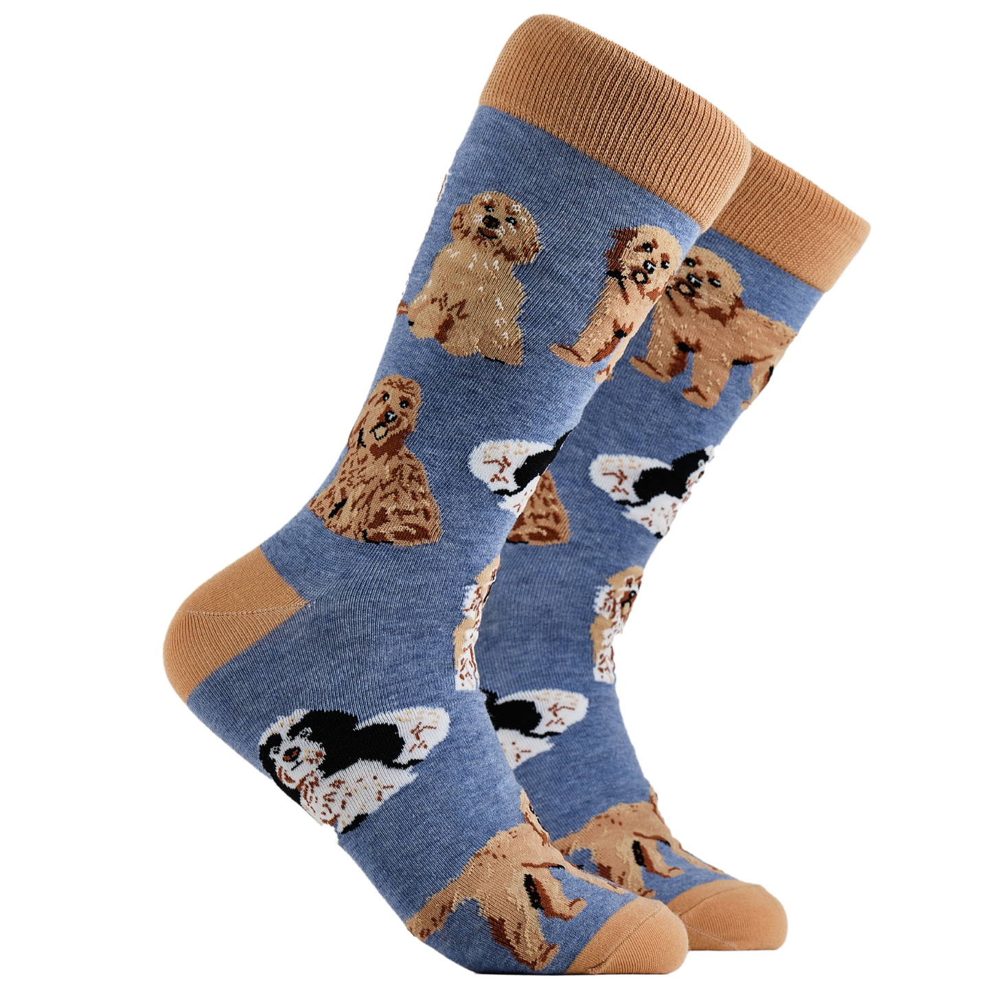 Socktopus | Womens Socks | Cockapoos