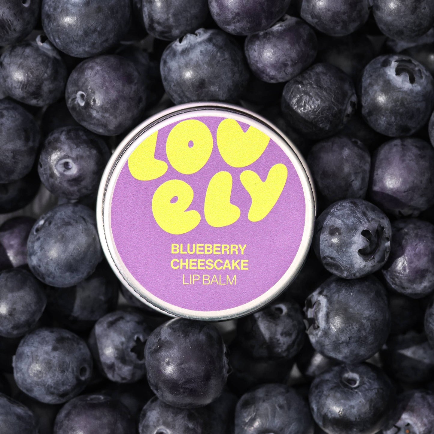 Lovely Skincare | Blueberry Cheesecake | Lip Balm