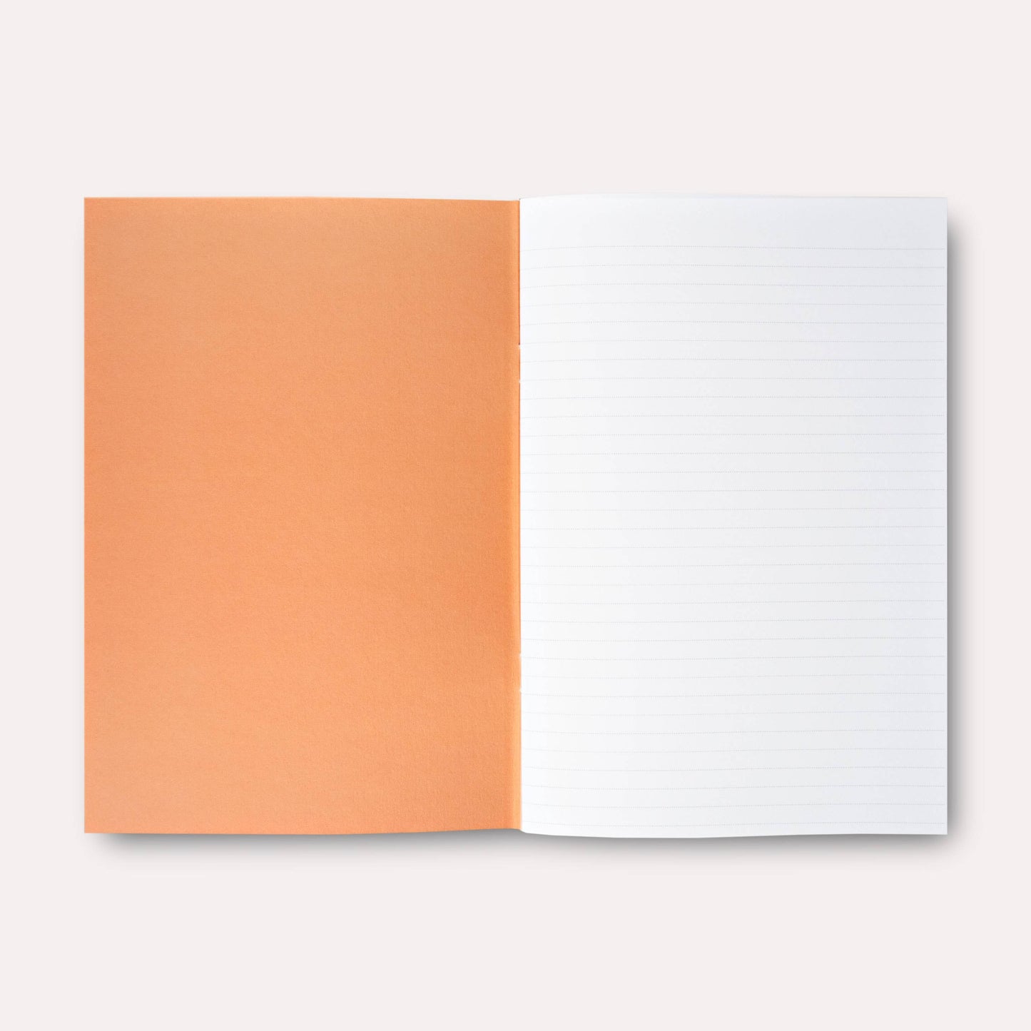 The Completist (No duties on USA orders!) - Palermo Slimline Notebook: Dot Grid
