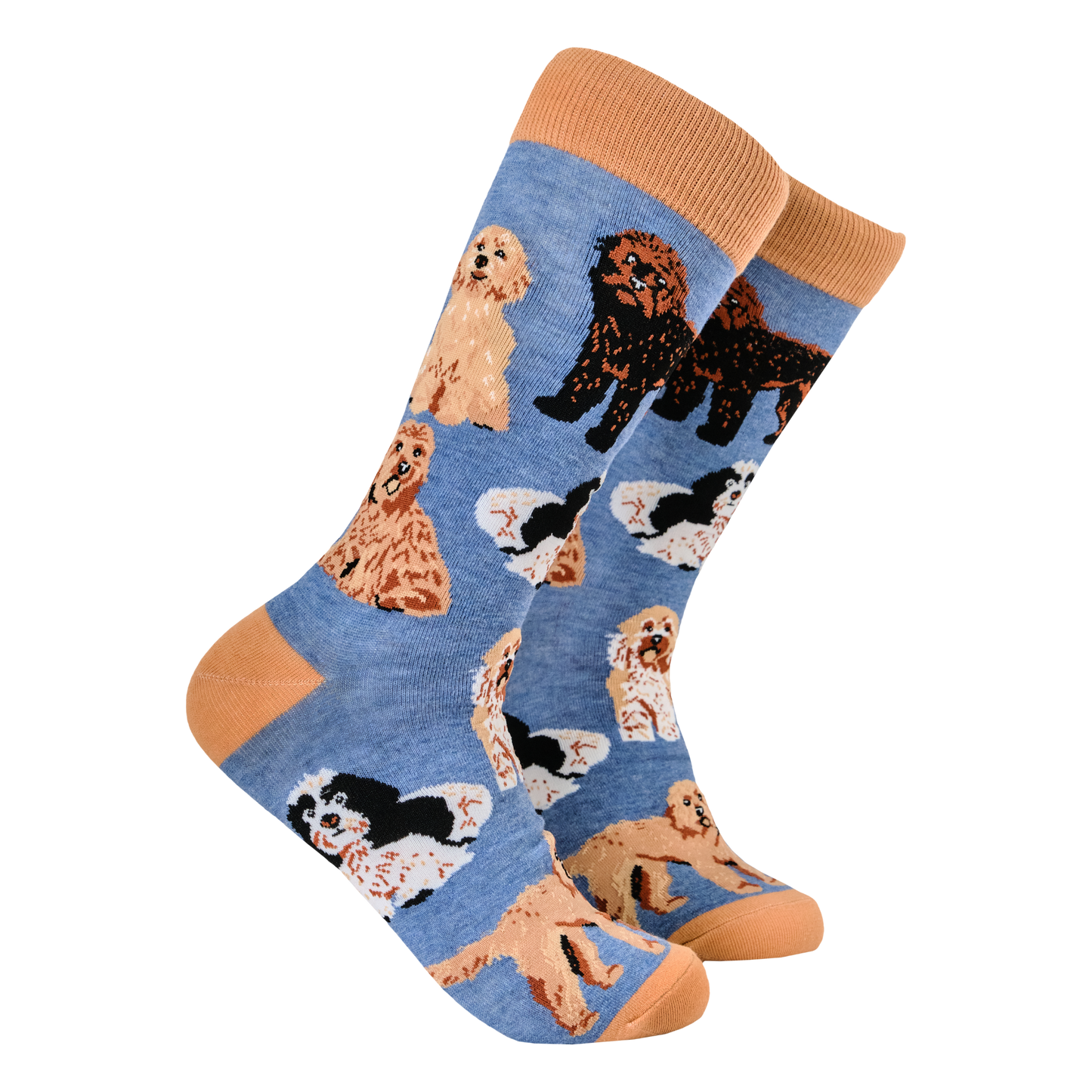 Socktopus | Womens Socks | Cockapoos