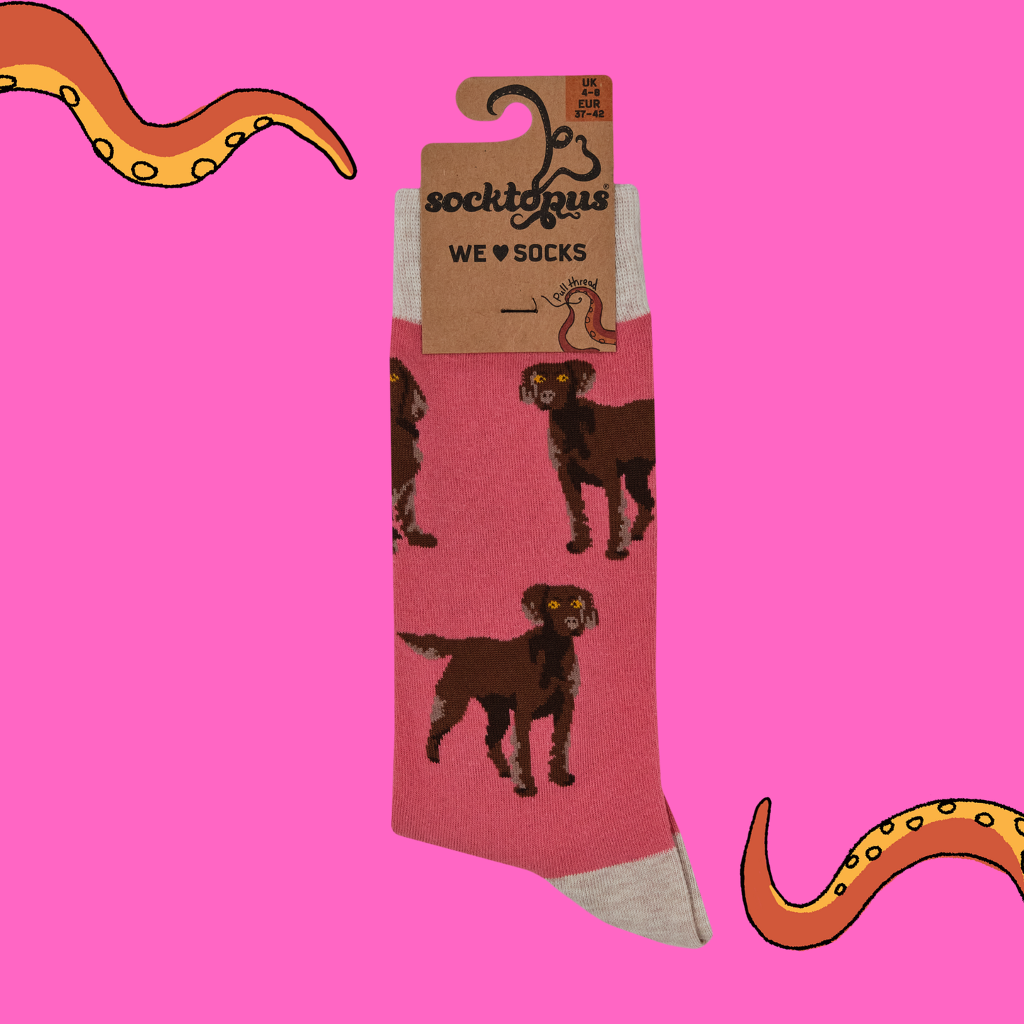 Socktopus | Span au Chocolat | Pink | S UK 4-8