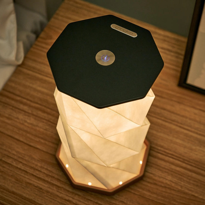 Gingko | Twist Hexagon Lamp | Black