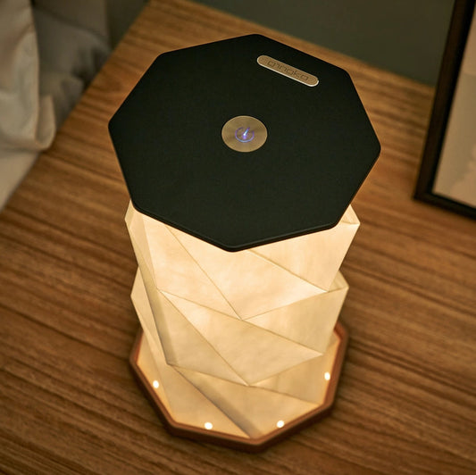 Gingko | Twist Hexagon Lamp | Black