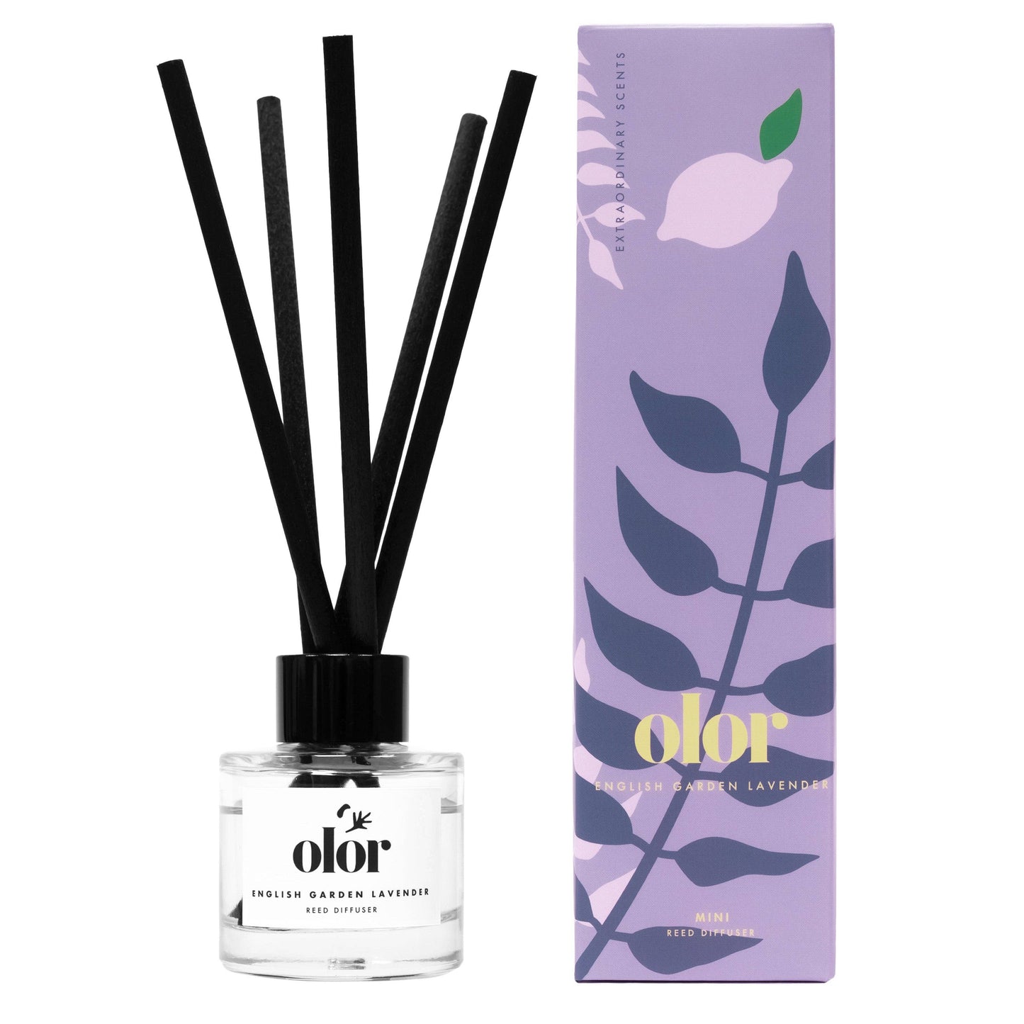 OLOR | Mini Reed Diffuser | English Garden Lavender