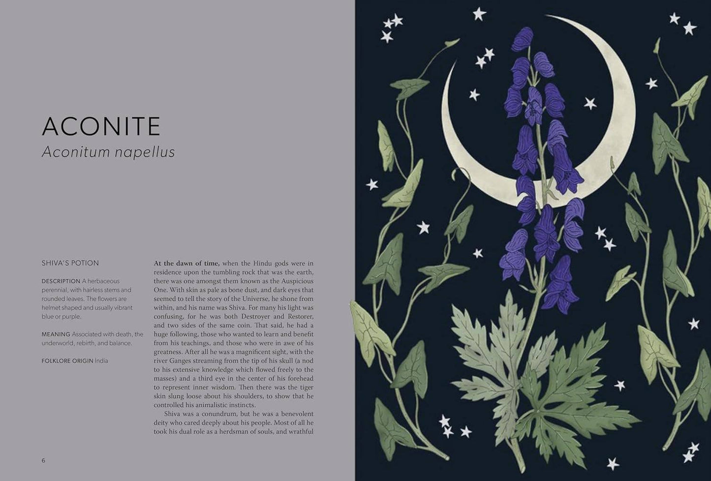Book | Floral Folklore