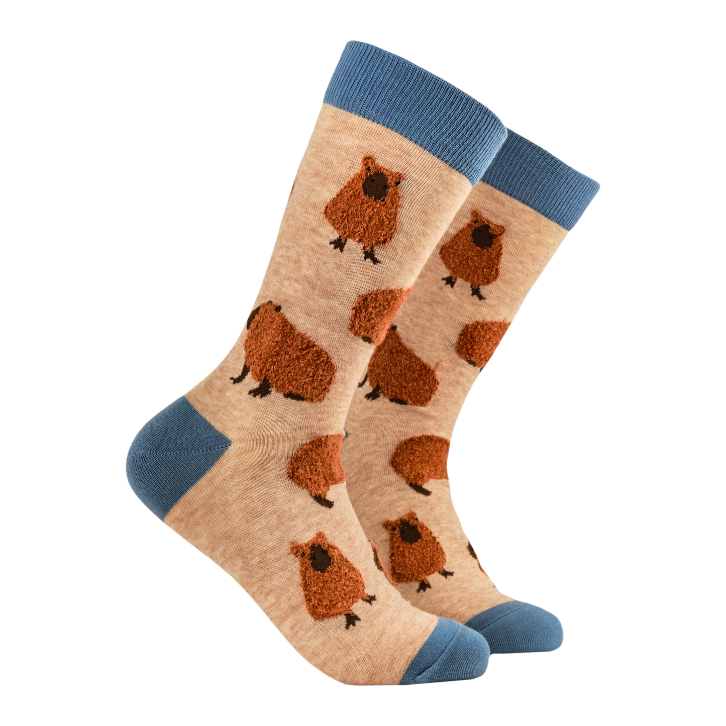 Socktopus | Womens Socks | Capybara