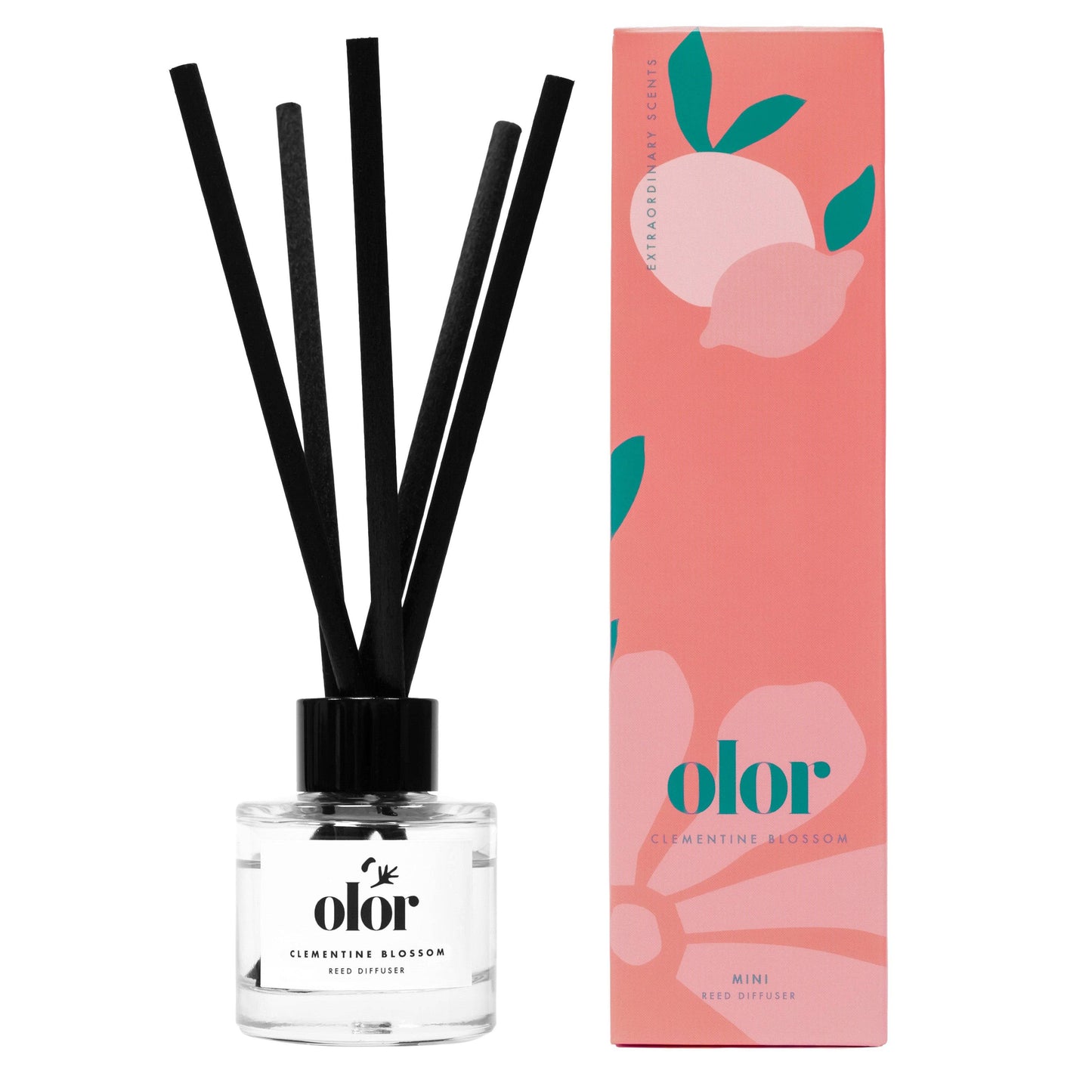 OLOR | Mini Reed Diffuser | Clementine Blossom